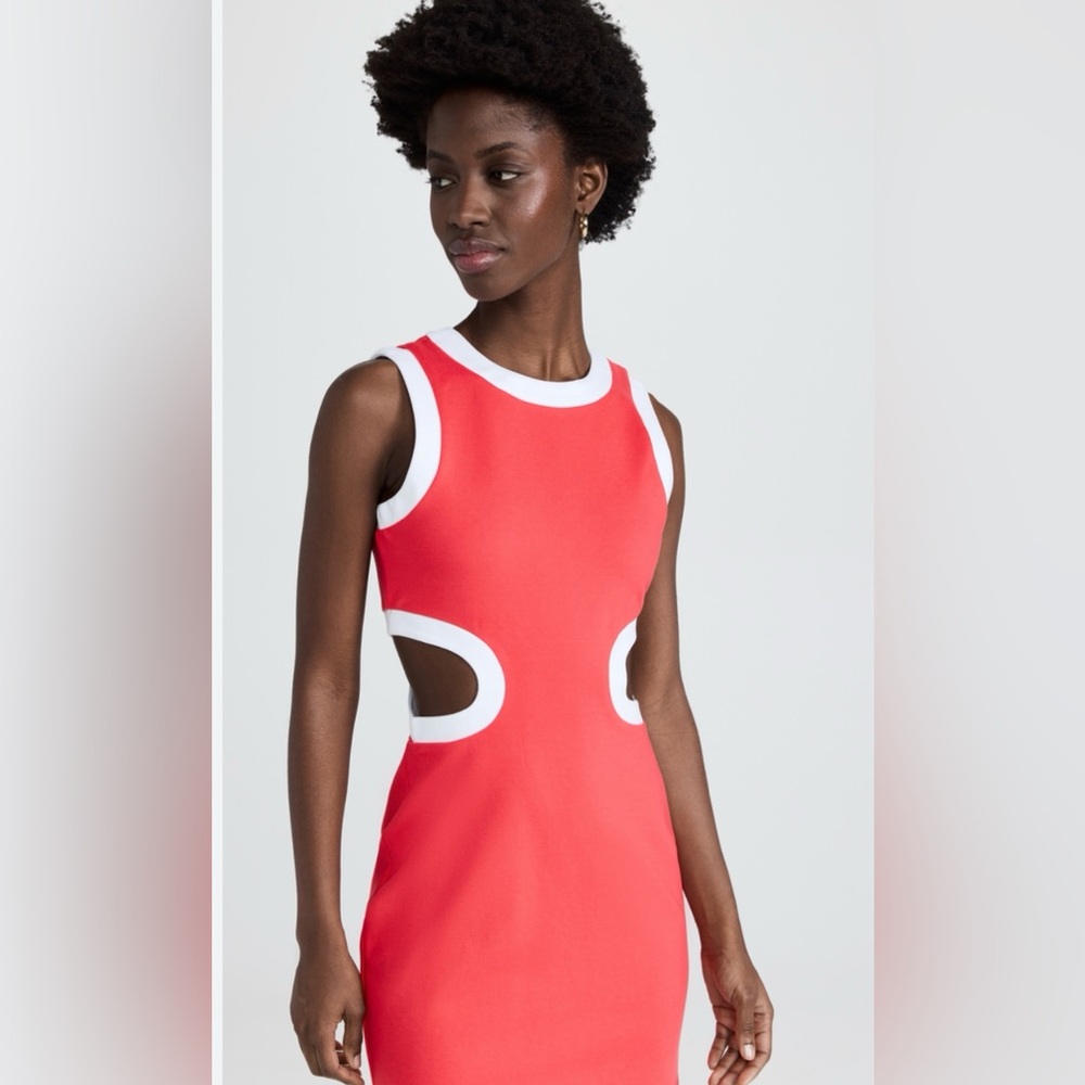 STAUD Coral Mini Dolce Dress — SIZE L — worn once